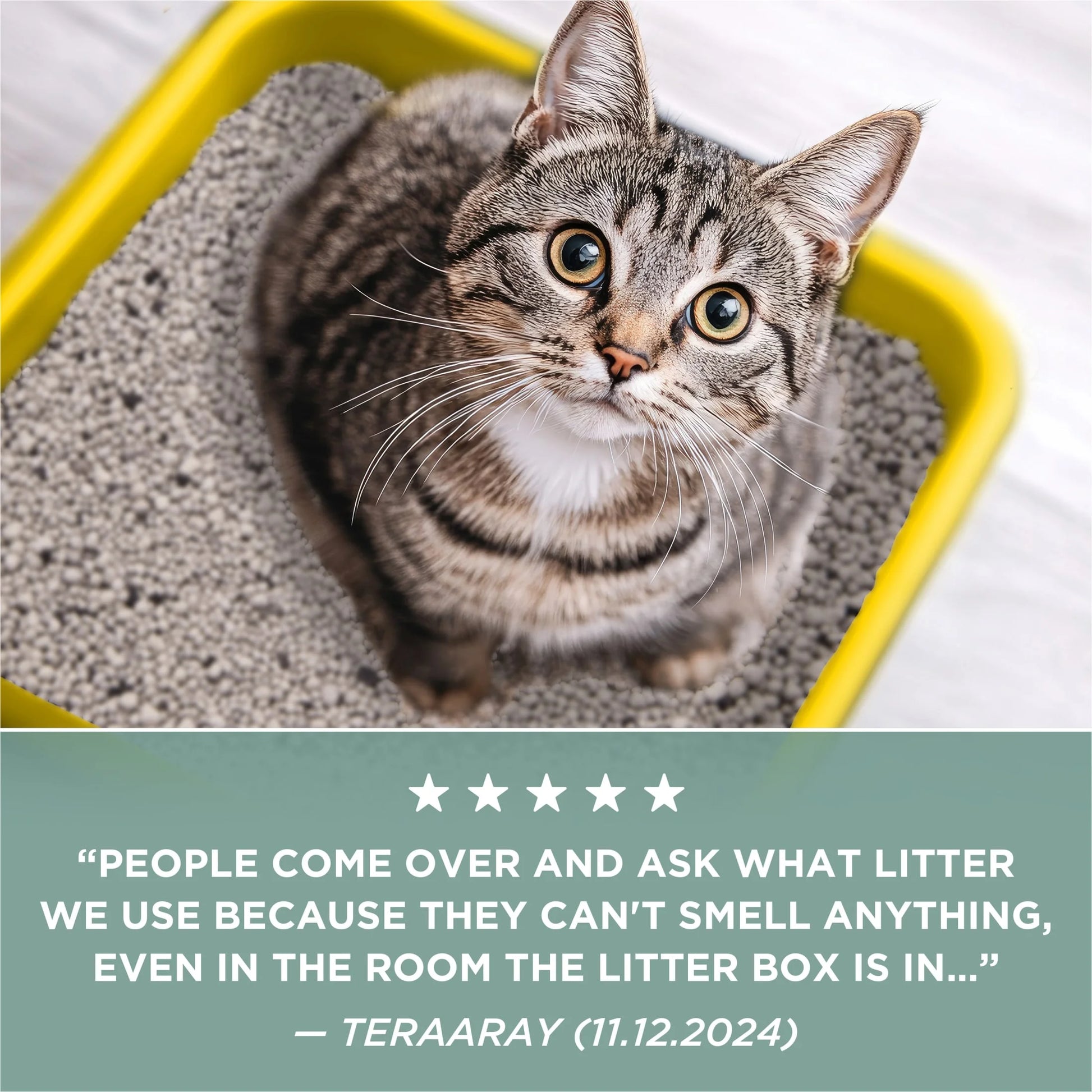 Purina  Free & Clean Unscented Cat Litter, Scoopable, Low Dust, Odor Control, 14 Lb. Jug